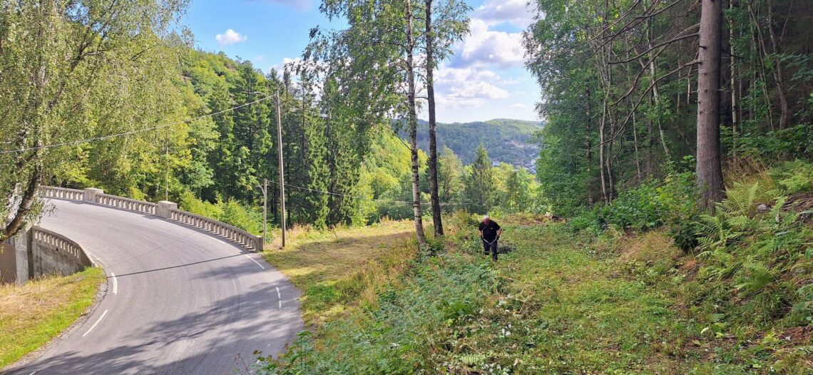 Korketrekker dugnad3
